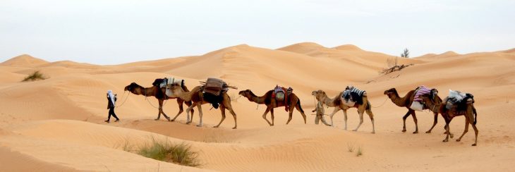 Apri le Porte della Cultura Mondiale:  Il tuo esperto Consulente per Viaggi Culturali Indimenticabili!